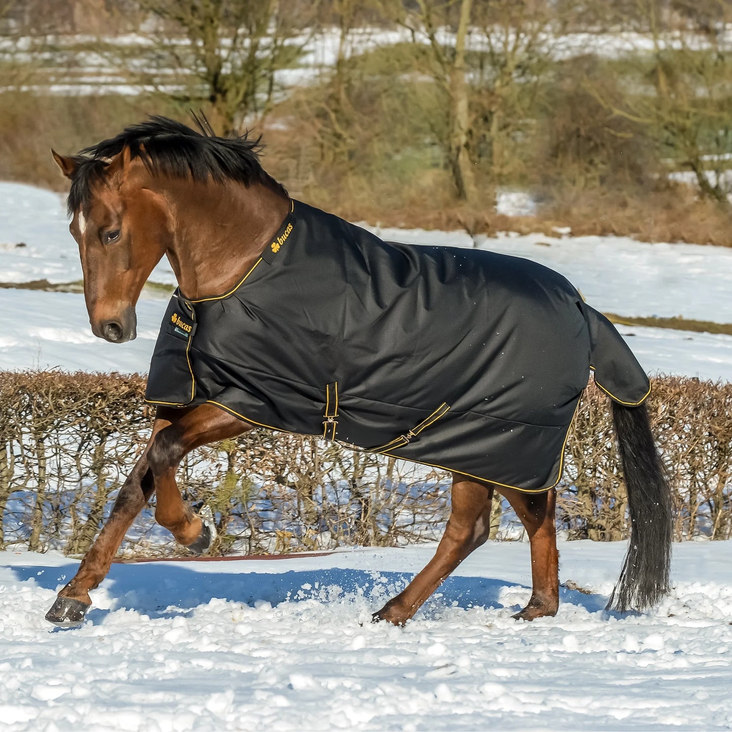 Toklat Bucas Irish Classic Turnout Blanket - Black and Gold - Multiple Sizes