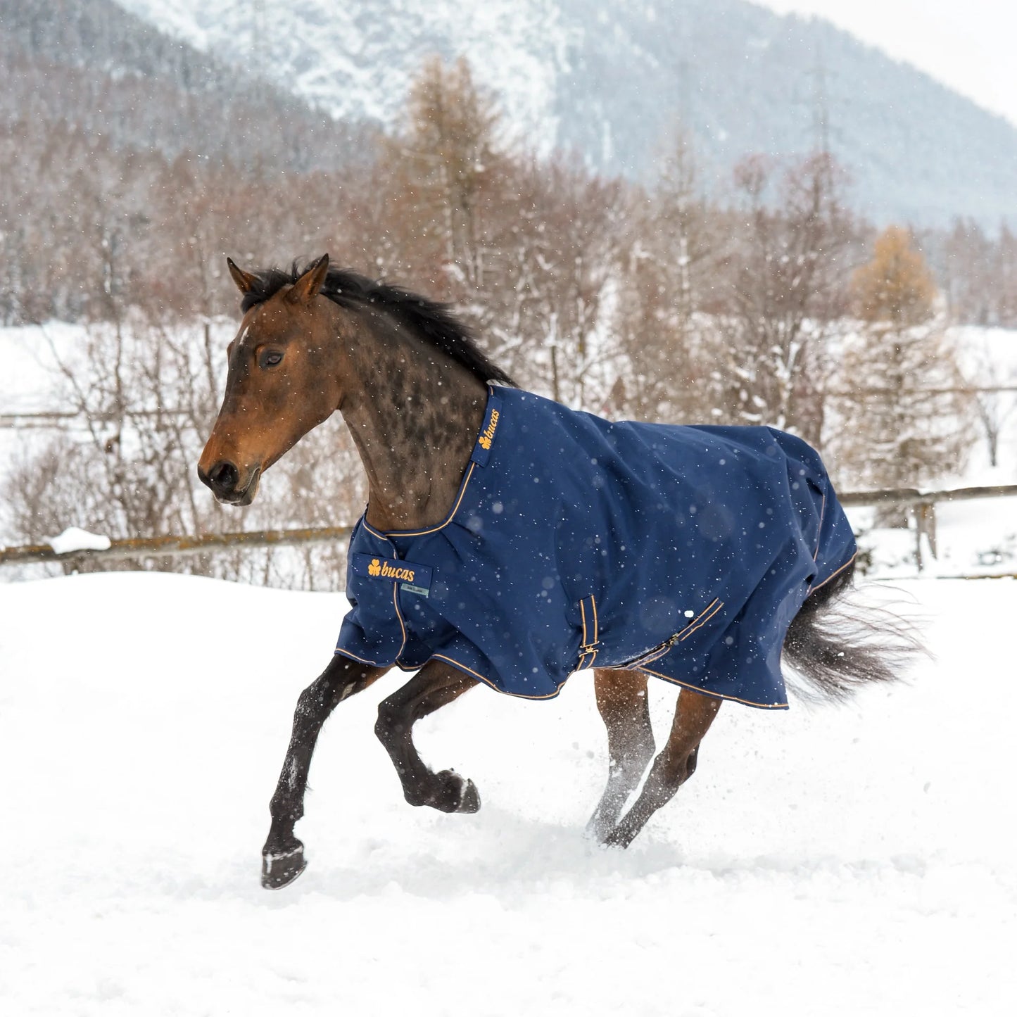 Toklat Bucas Irish Classic Turnout Sheet - Waterproof Horse Blanket - Multiple Sizes