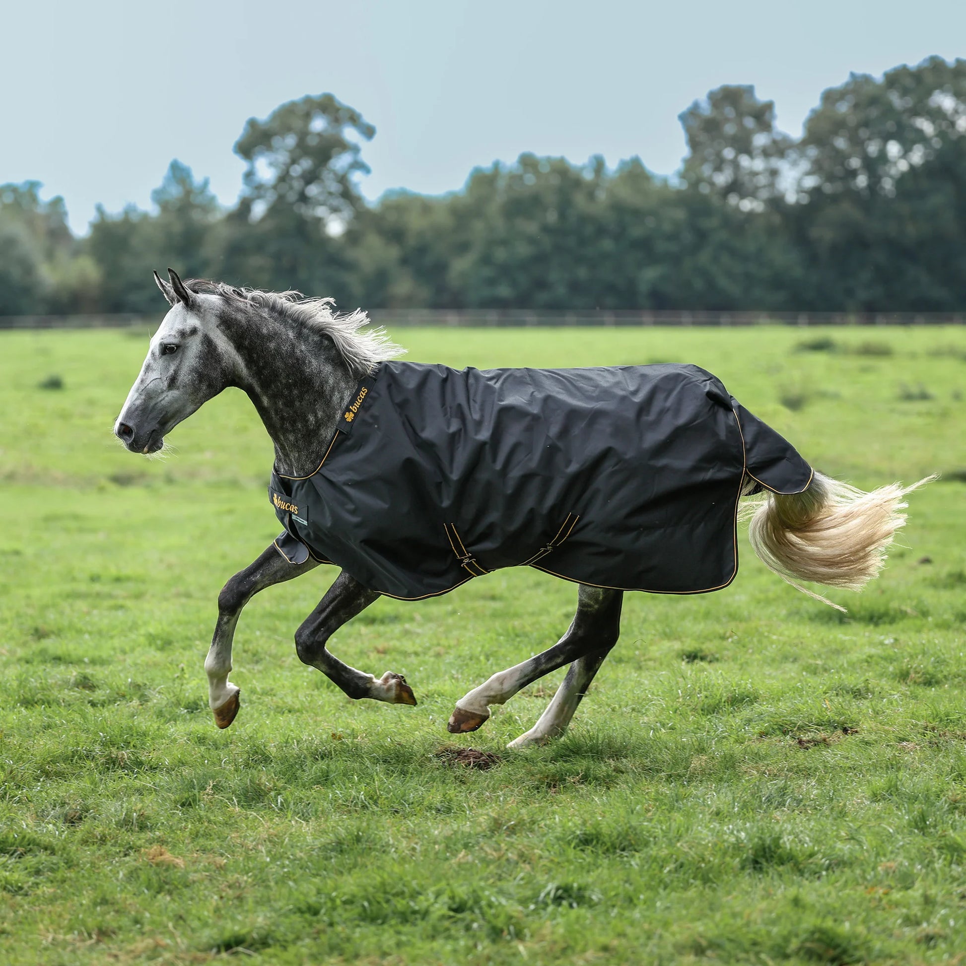 Toklat Bucas Irish Classic Turnout Sheet - Waterproof Horse Blanket - Multiple Sizes