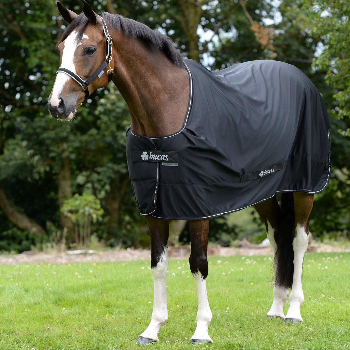 Toklat Bucas Power Cooler Classic Horse Blanket - High-Performance Moisture Wicking - Multiple Sizes