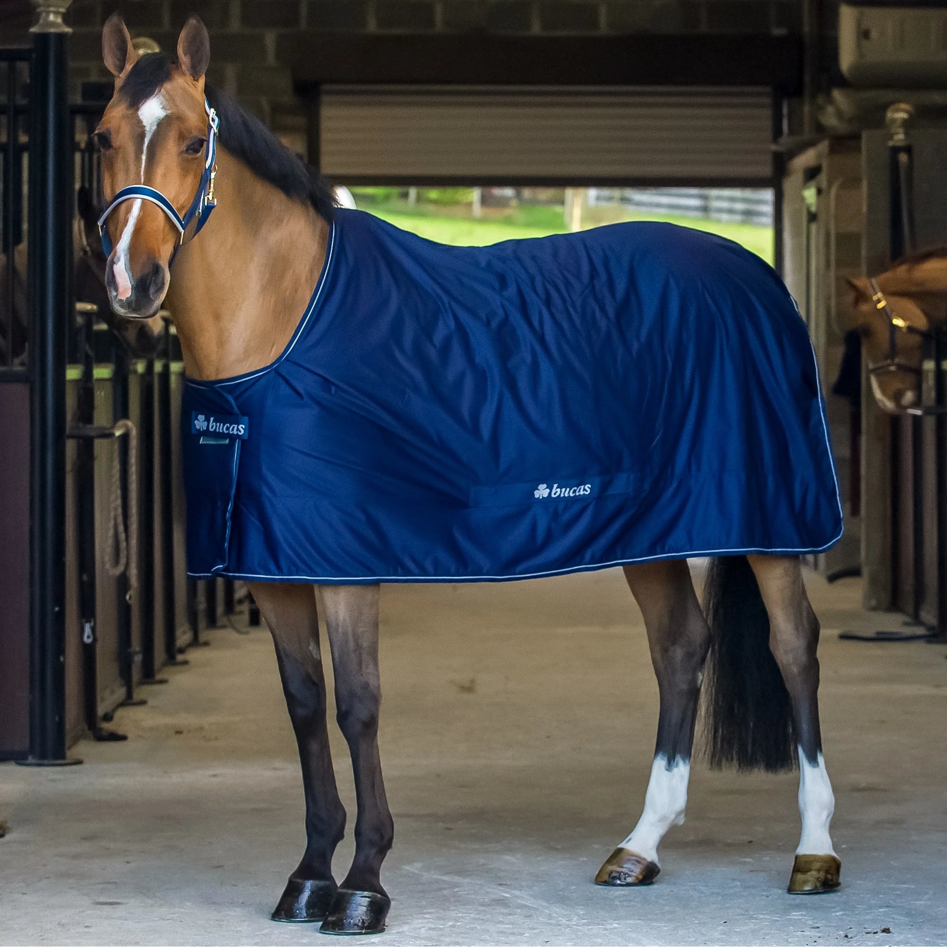 Toklat Bucas Power Cooler Classic Horse Blanket - High-Performance Moisture Wicking - Multiple Sizes