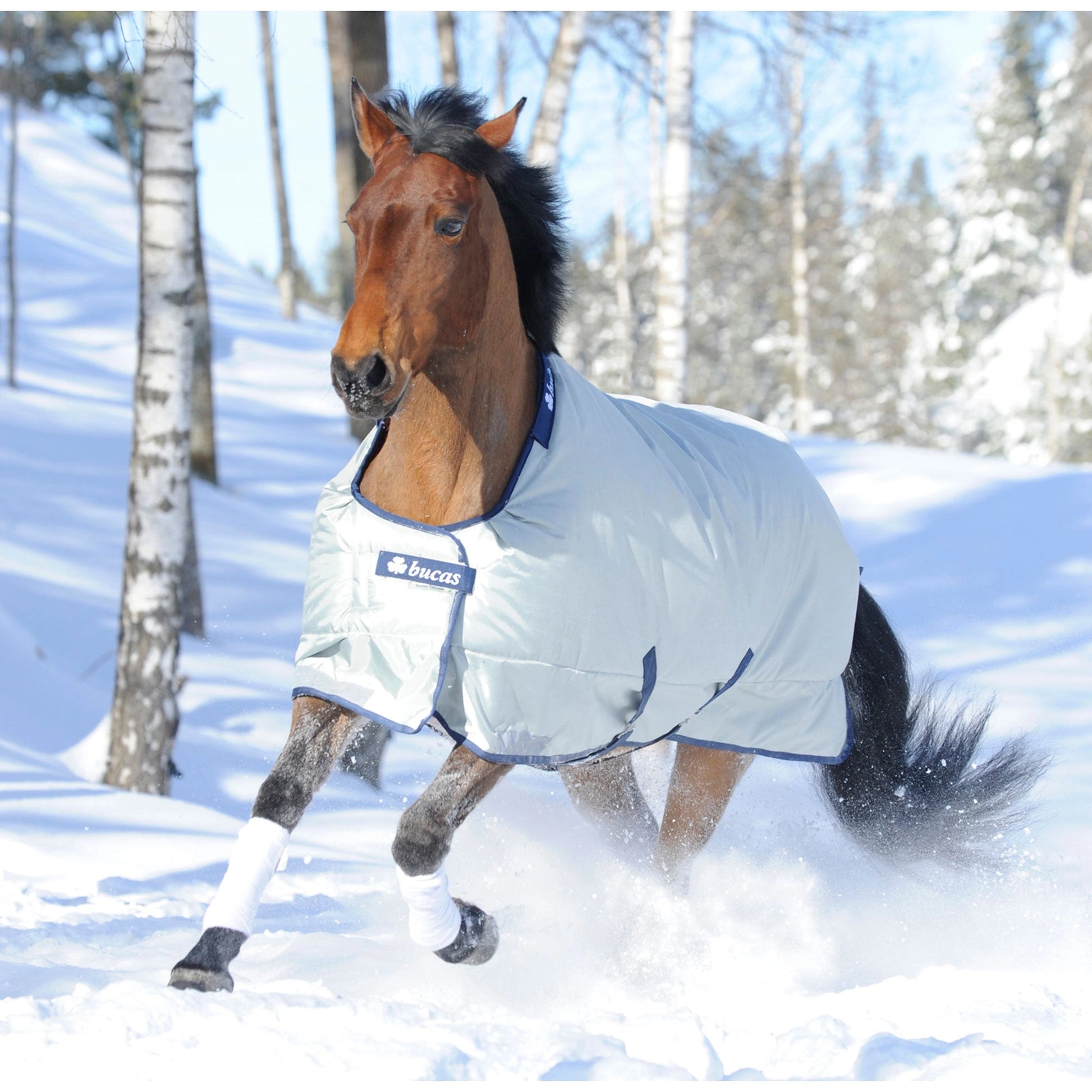 Horse wearing a white blanket in a snowy landscape with trees.