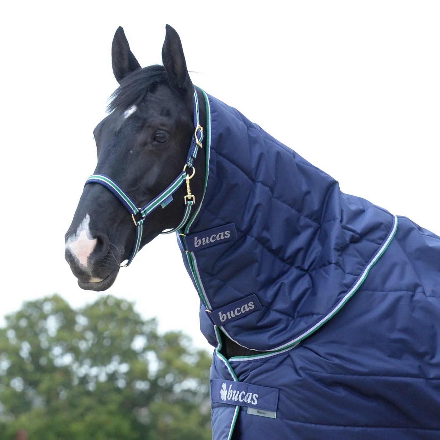 Toklat Bucas Quilt Combi Neck - Navy Insulated Breathable Horse Stable Blanket Neck Cover Attachment