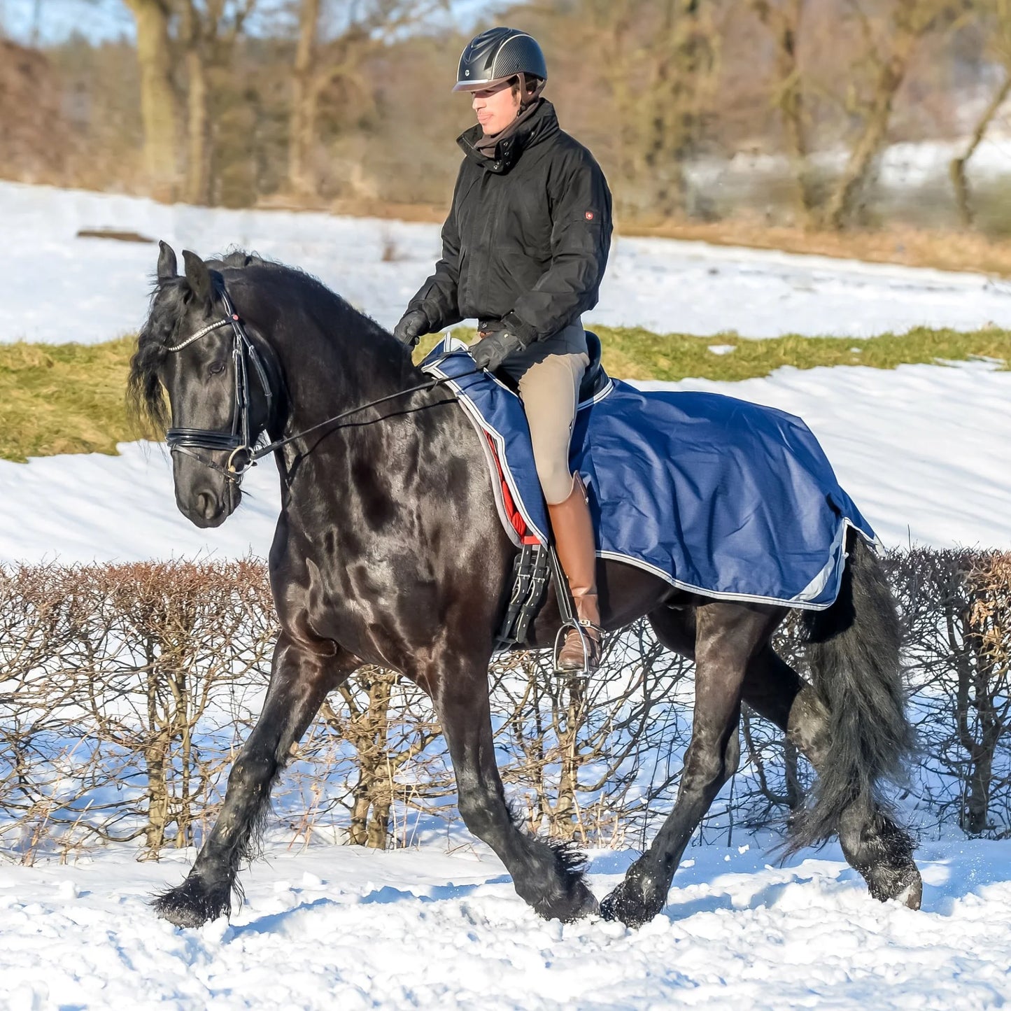 Toklat Bucas Riding Rug - Waterproof Horse Exercise Blanket and Quarter Sheet