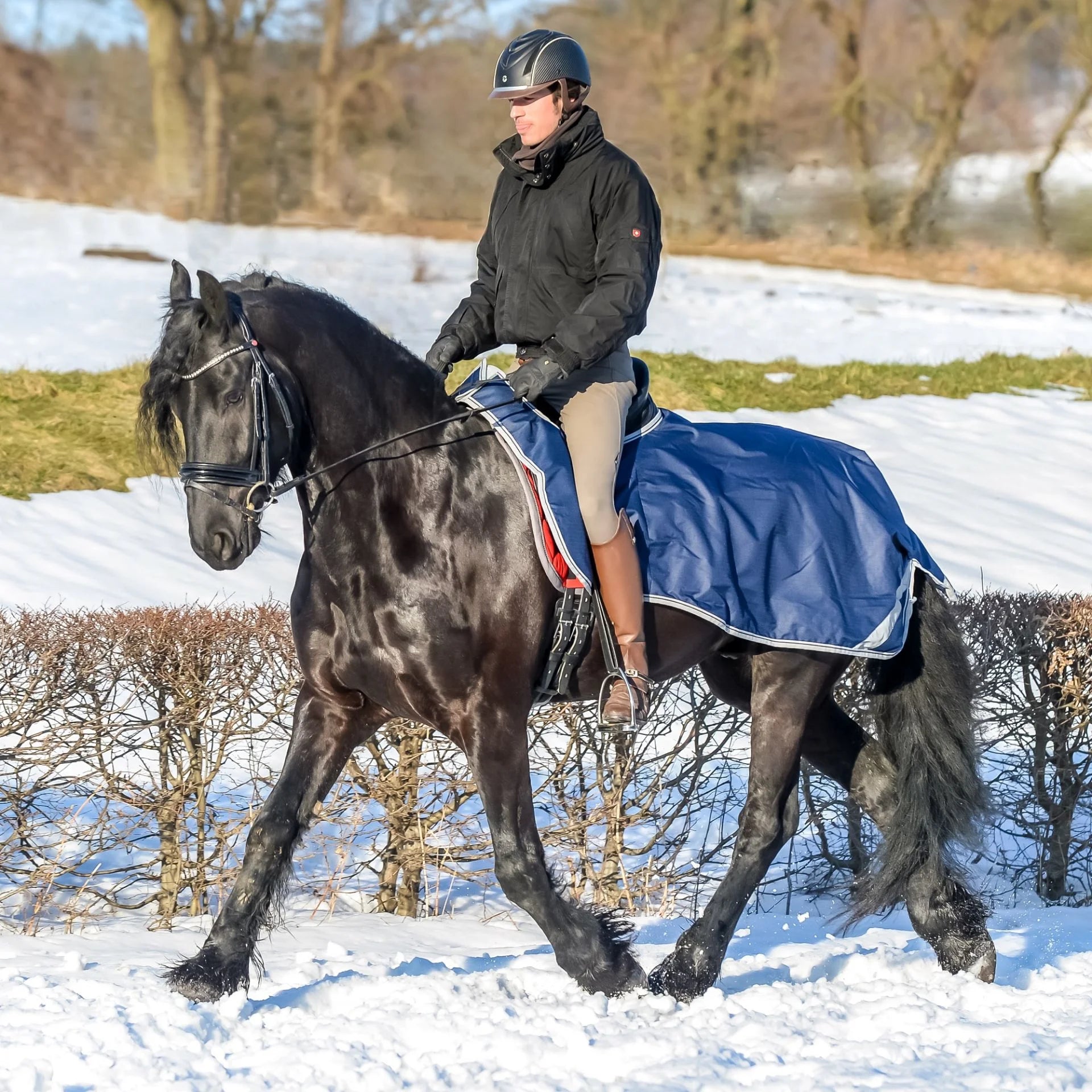 Toklat Bucas Riding Rug - Waterproof Horse Exercise Blanket and Quarter Sheet