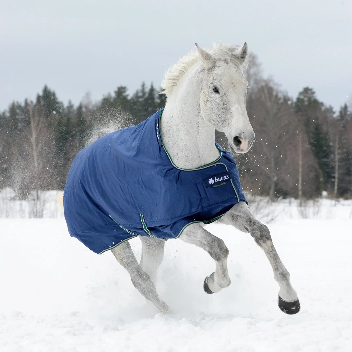 Toklat Bucas Smartex Horse Sheet - Premium All-Weather Stay-Dry Turnout - Multiple Sizes