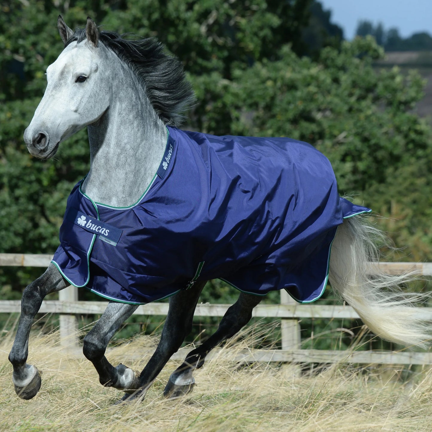 Toklat Bucas Smartex Horse Sheet - Premium All-Weather Stay-Dry Turnout - Multiple Sizes