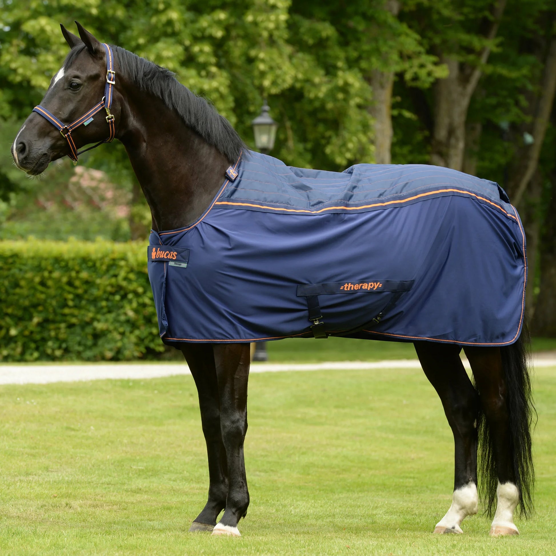 Toklat Bucas Therapy Cooler - Therapeutic Horse Sheet for Muscle Recovery and Circulation