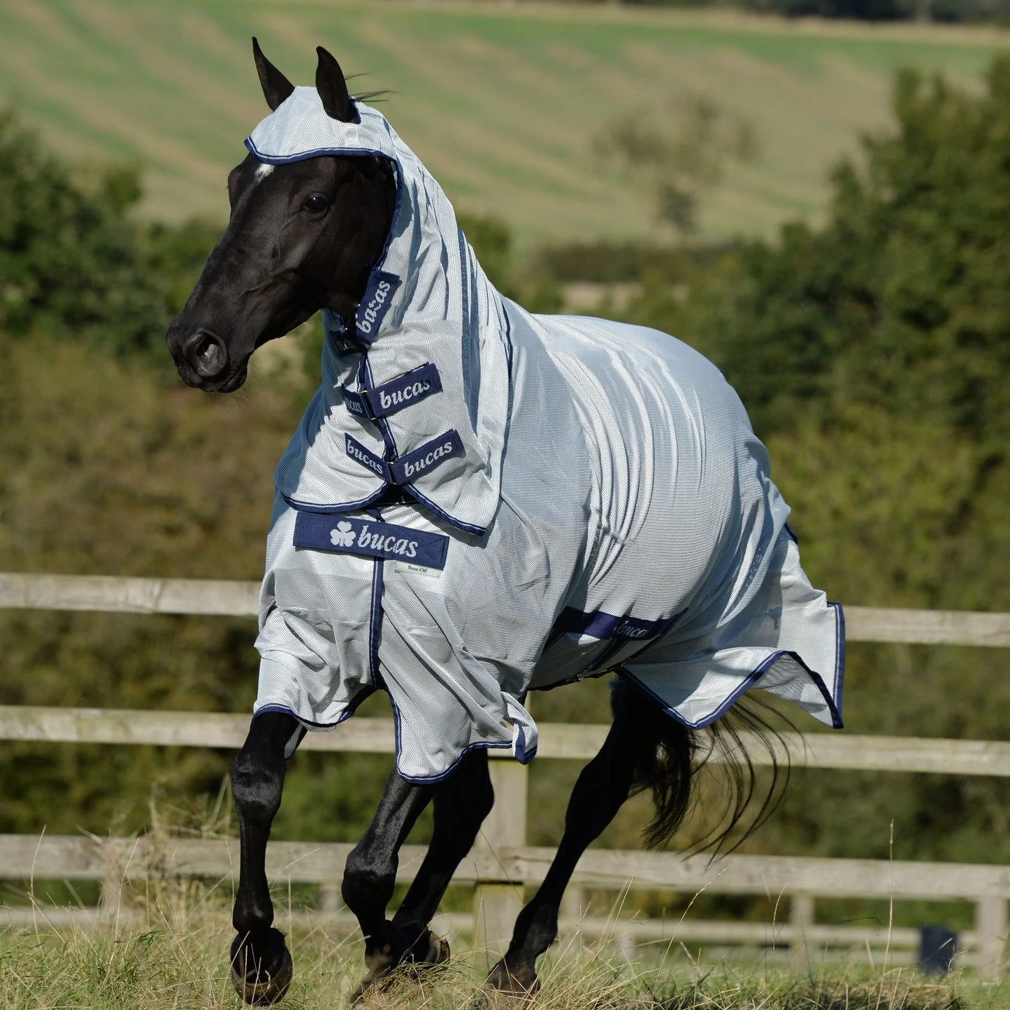 Toklat Bucas X Fly Sheet - Durable Mesh Horse Fly & UV Protection - Multiple Sizes