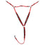 Toklat Deluxe Stainless Steel Breastplate with Deluxe Ends - Arab/Full Size