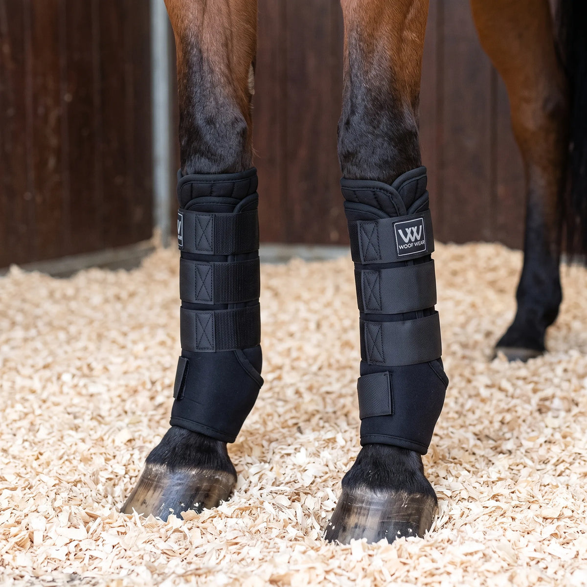 Toklat stable boots with wicking liners on a horse in a stall