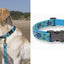 LupinePet Dog Collar: Lifetime Guarantee, Adjustable, & Stylish Designs
