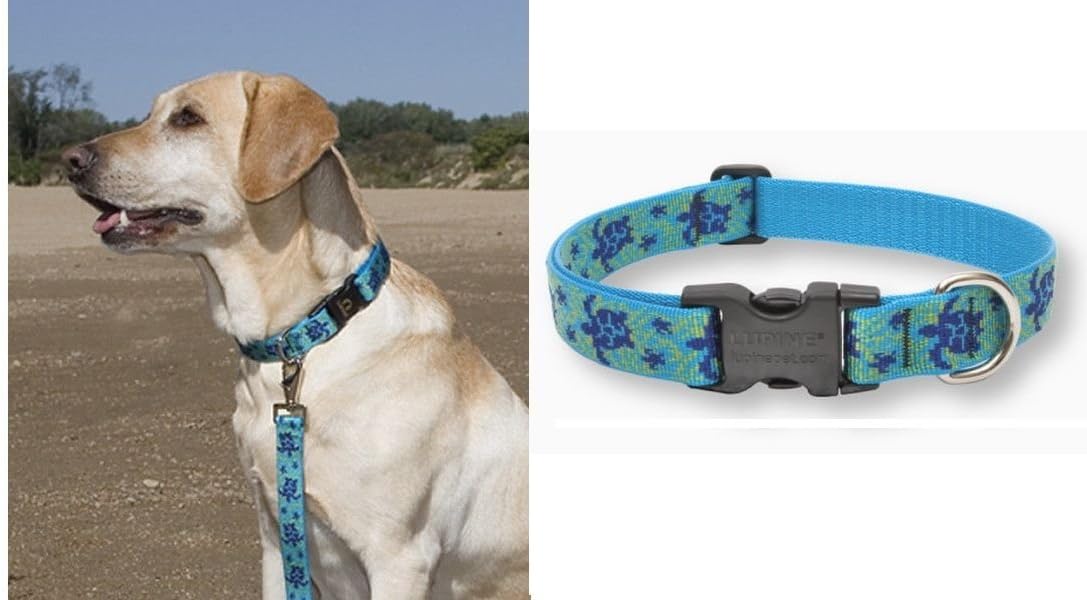 LupinePet Dog Collar: Lifetime Guarantee, Adjustable, & Stylish Designs