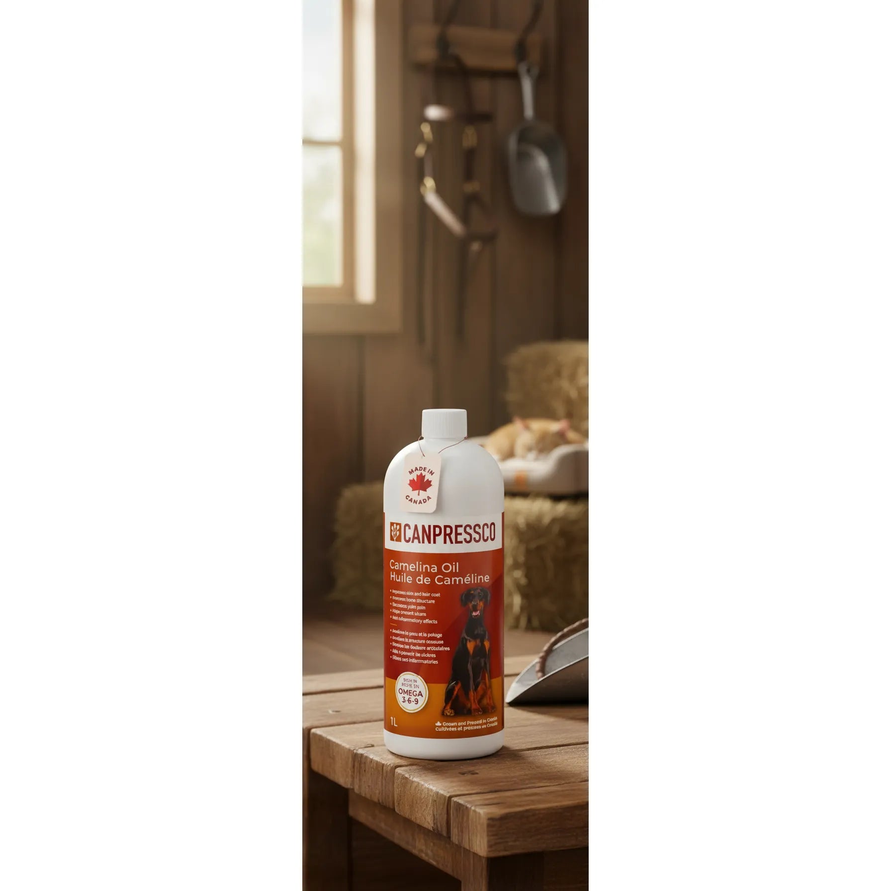 Canpressco Camelina Oil for horses, dogs, and cats. A white bottle of Omega 3-6-9 joint, coat, and skin supplement on a rustic wooden table in a barn setting. Features a "Made in Canada" tag and a dog on the red label. This natural oil promotes a shiny coat and joint mobility. Perfect for pet wellness and equestrian care.