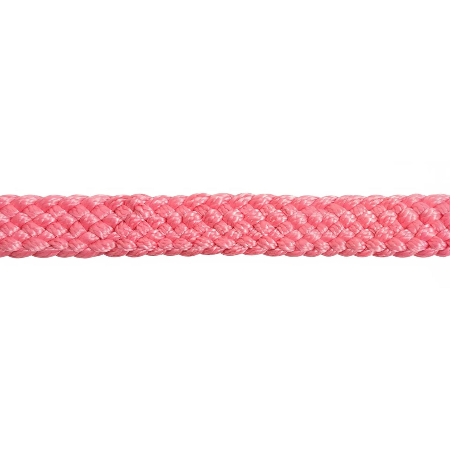 Close-up of the Cashel Flat Braid Halter & Lead in vibrant pink, showcasing the durable, no-rub UV-resistant nylon material. The intricate flat braid design ensures horse comfort and long-lasting performance. This high-quality equestrian accessory is perfect for riders seeking stylish and functional horse tack that resists fading and wear.