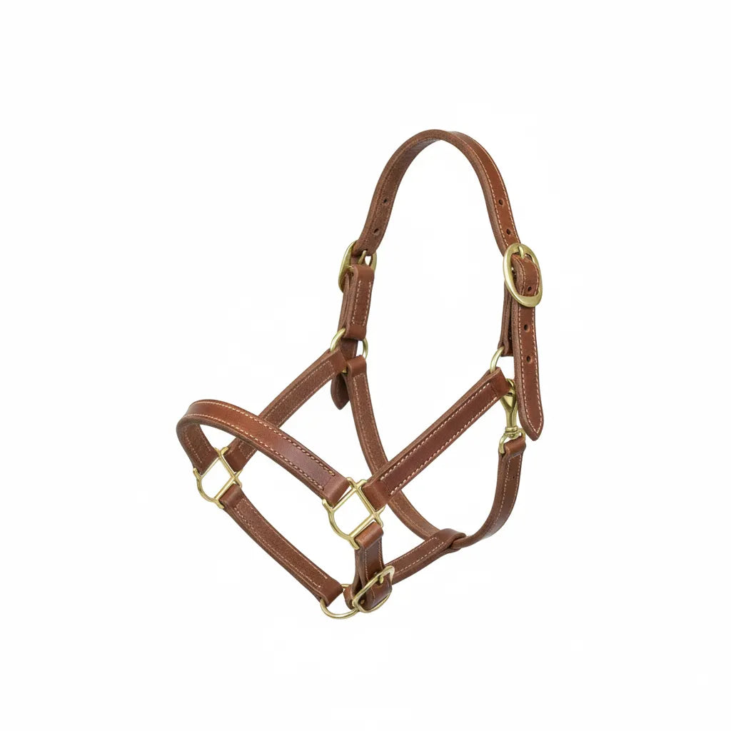 Classic Equine Hermann Oak Leather Halter in rich chestnut brown with white contrast stitching. This premium horse tack features solid brass hardware, an adjustable crownpiece, noseband, and throatlatch for a custom fit. Designed with a breakaway safety feature, this high-quality equestrian halter combines traditional style and durability for training, showing, or daily stable use.