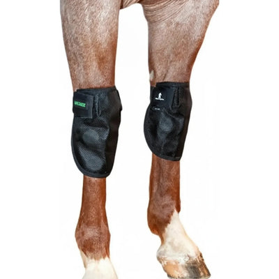 Classic Equine MagNTX Knee Wraps in black mesh secured on a chestnut horse's front legs. These magnetic therapy wraps target horse joint health, aiding recovery and reducing swelling in the carpal area. Features a breathable mesh design and adjustable Velcro straps for a secure, contoured fit. Ideal for equine performance maintenance and therapeutic rehabilitation.