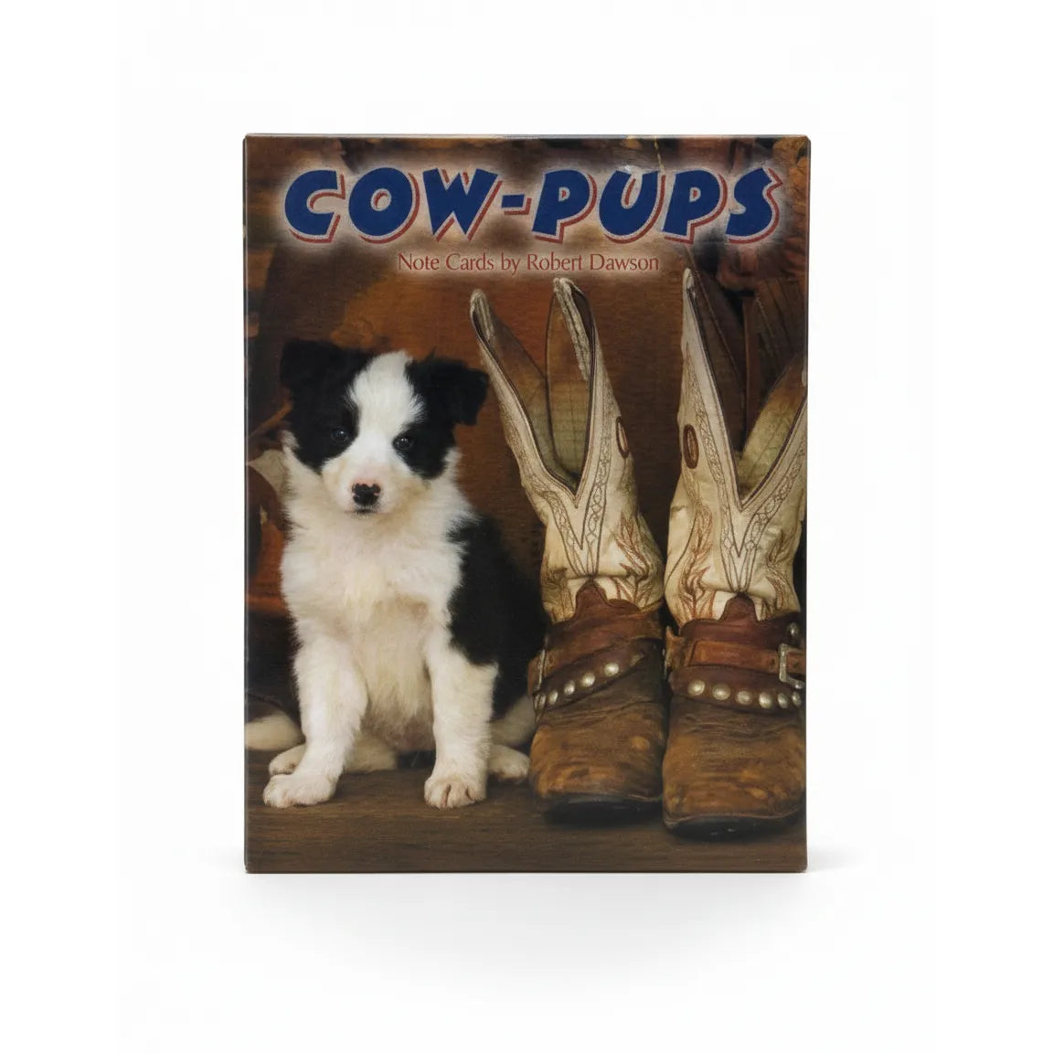 Leanin' Tree Cow-Pups 12-count note card box featuring photography by Robert Dawson. The cover shows a cute black and white border collie puppy sitting beside a pair of weathered cowboy boots. This western-themed stationery set includes blank cards and envelopes made from recycled paper, ideal for dog lovers and fans of the rustic cowboy aesthetic.