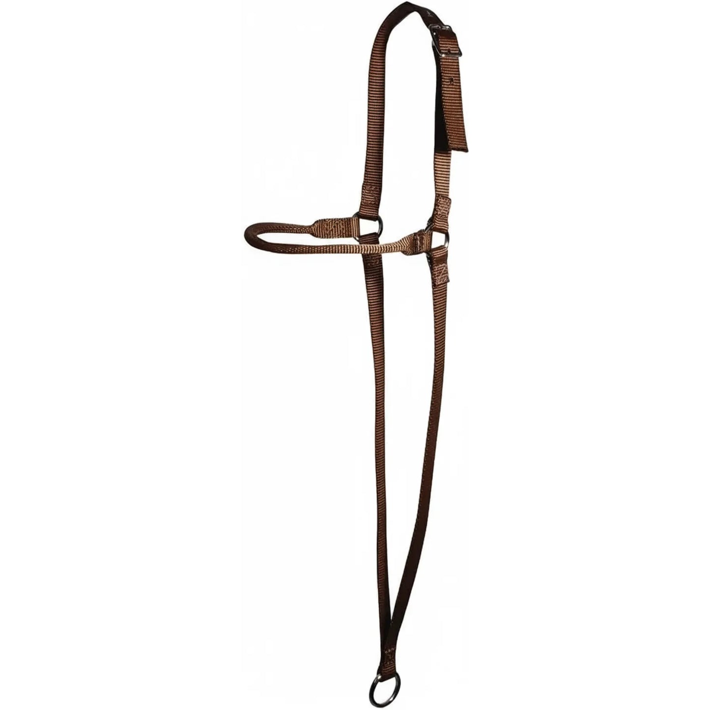 Professional's Choice Chocolate Web War Bonnet for horse training. Crafted from durable chocolate brown nylon webbing with polished nickel hardware. This equestrian tack features an adjustable buckle crown strap, a noseband, and a long throat strap leading to a bottom ring for tie-down attachment. A sleek and functional horse training tool designed for control and style, suitable for various riding disciplines.