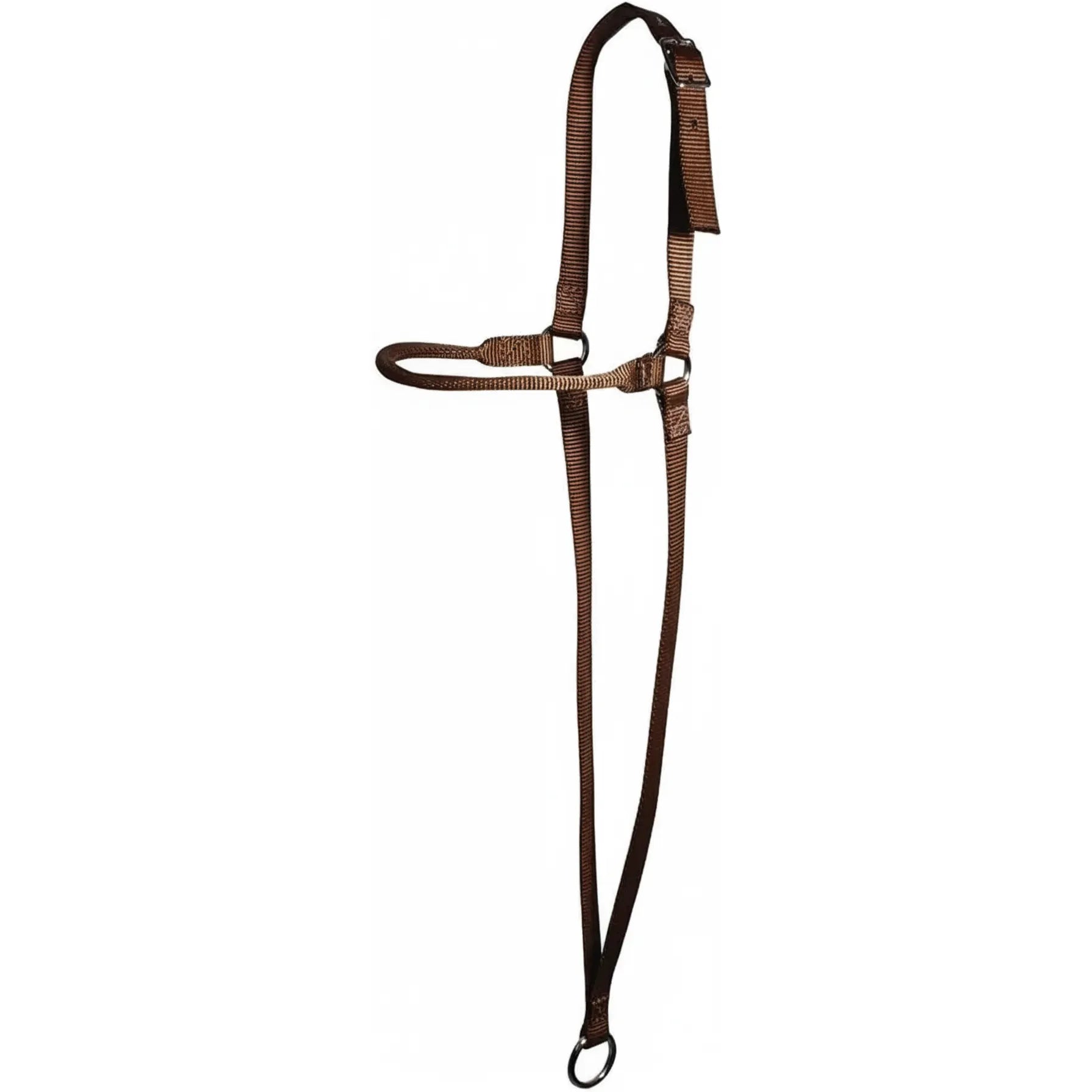 Professional's Choice Chocolate Web War Bonnet for horse training. Crafted from durable chocolate brown nylon webbing with polished nickel hardware. This equestrian tack features an adjustable buckle crown strap, a noseband, and a long throat strap leading to a bottom ring for tie-down attachment. A sleek and functional horse training tool designed for control and style, suitable for various riding disciplines.