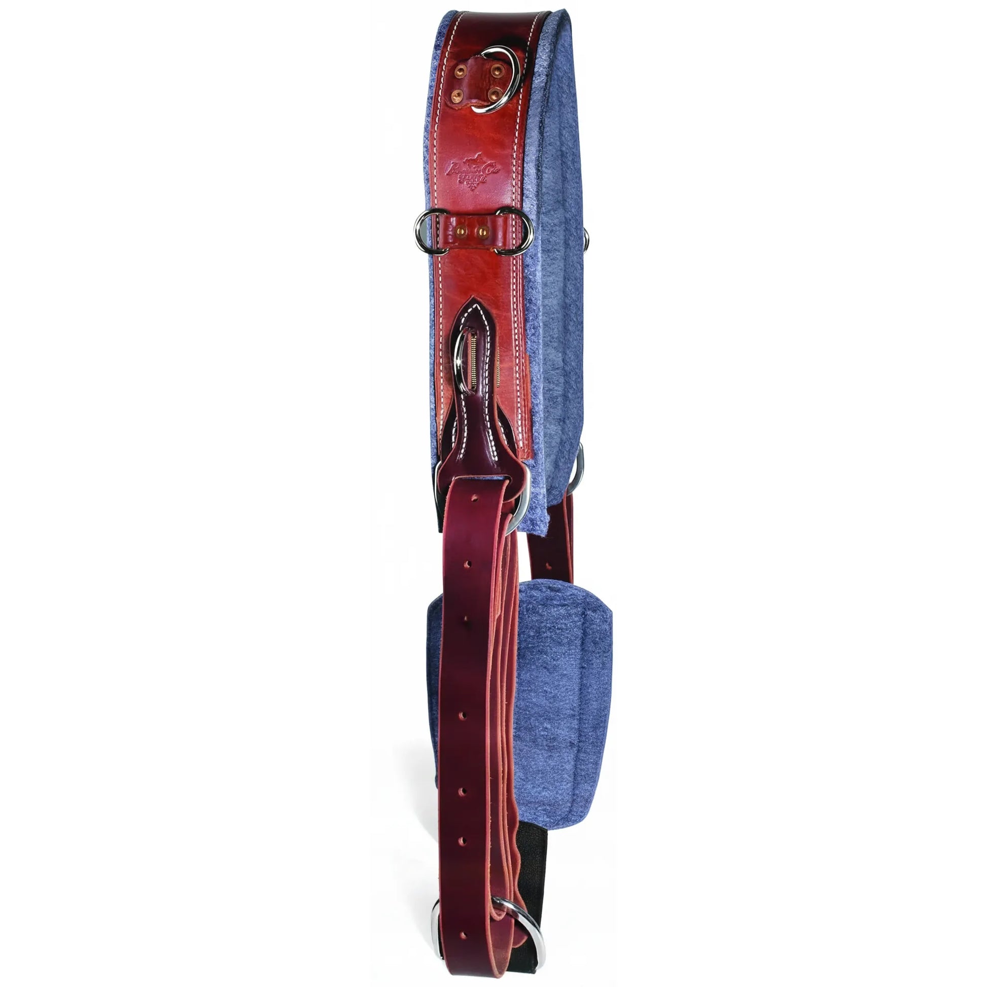 Professional's Choice Hermann Oak Leather Horse Surcingle in rich reddish-brown with a plush blue felt lining. This adjustable training surcingle features multiple nickel-plated D-rings for versatile attachment points and a double western cinch for a secure fit. High-quality equestrian gear perfect for lunging, ground work, and training. Durable, comfortable, and designed for performance. Model 800128.