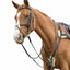 Shires Avignon Five Point Breastplate in black premium leather shown on a chestnut horse. This high-quality equestrian tack features soft natural sheepskin padding at the shoulders and chest for maximum comfort and pressure relief. The five-point design includes a running martingale attachment and durable stainless steel hardware, ensuring saddle stability and horse comfort during jumping, eventing, and cross-country riding.
