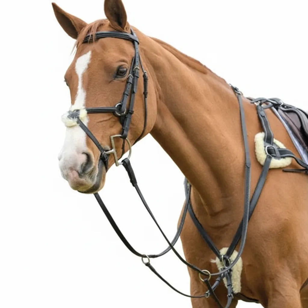 Shires Avignon Five Point Breastplate in black premium leather shown on a chestnut horse. This high-quality equestrian tack features soft natural sheepskin padding at the shoulders and chest for maximum comfort and pressure relief. The five-point design includes a running martingale attachment and durable stainless steel hardware, ensuring saddle stability and horse comfort during jumping, eventing, and cross-country riding.