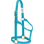 Weaver Leather Original 1" Nylon Halter in vibrant turquoise, featuring durable triple-ply construction and premium brass hardware. This professional-grade horse halter includes an adjustable crown and heat-sealed holes for a secure, comfortable fit. A stylish and reliable choice for everyday equestrian care, training, and turnout.
