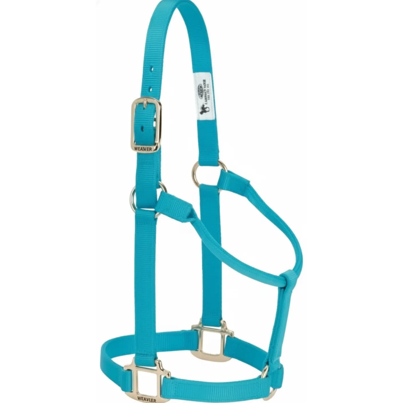 Weaver Leather Original 1" Nylon Halter in vibrant turquoise, featuring durable triple-ply construction and premium brass hardware. This professional-grade horse halter includes an adjustable crown and heat-sealed holes for a secure, comfortable fit. A stylish and reliable choice for everyday equestrian care, training, and turnout.