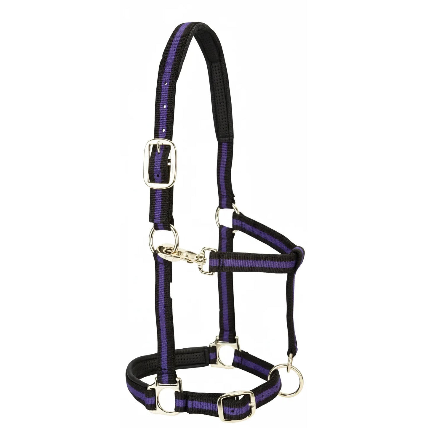 Durable Weaver Leather Padded Adjustable Halter in striking purple and black. This high-quality horse halter features soft black PVC cushion padding on the nose and crown for ultimate comfort. Designed with heavy-duty silver hardware, an adjustable chin and crown, and a convenient snap throat latch. The perfect blend of style and function for your horse's daily training and turnout needs.