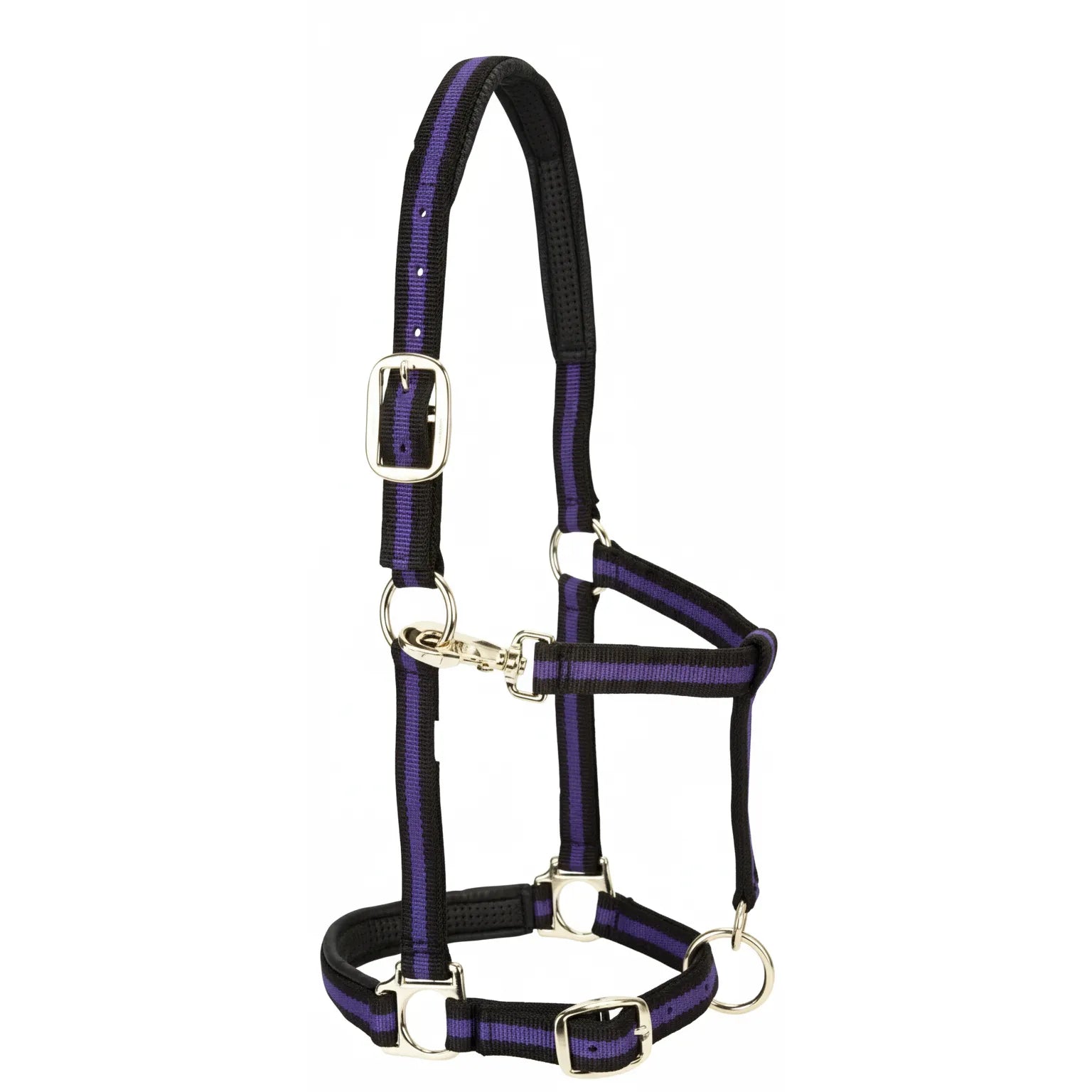 Durable Weaver Leather Padded Adjustable Halter in striking purple and black. This high-quality horse halter features soft black PVC cushion padding on the nose and crown for ultimate comfort. Designed with heavy-duty silver hardware, an adjustable chin and crown, and a convenient snap throat latch. The perfect blend of style and function for your horse's daily training and turnout needs.