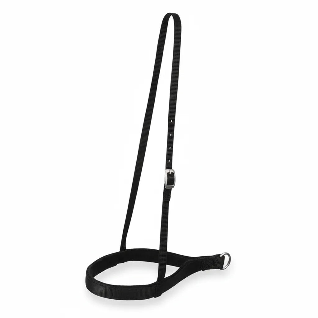 Weaver Leather Roper Noseband in black nylon, featuring a 1" wide noseband with a 1/4" thick black felt liner for horse comfort. The design includes a 5/8" adjustable crown strap with a silver-tone buckle and a sturdy metal D-ring for secure lead attachment. This durable and functional piece of horse tack is ideal for training, roping, or everyday equestrian use.