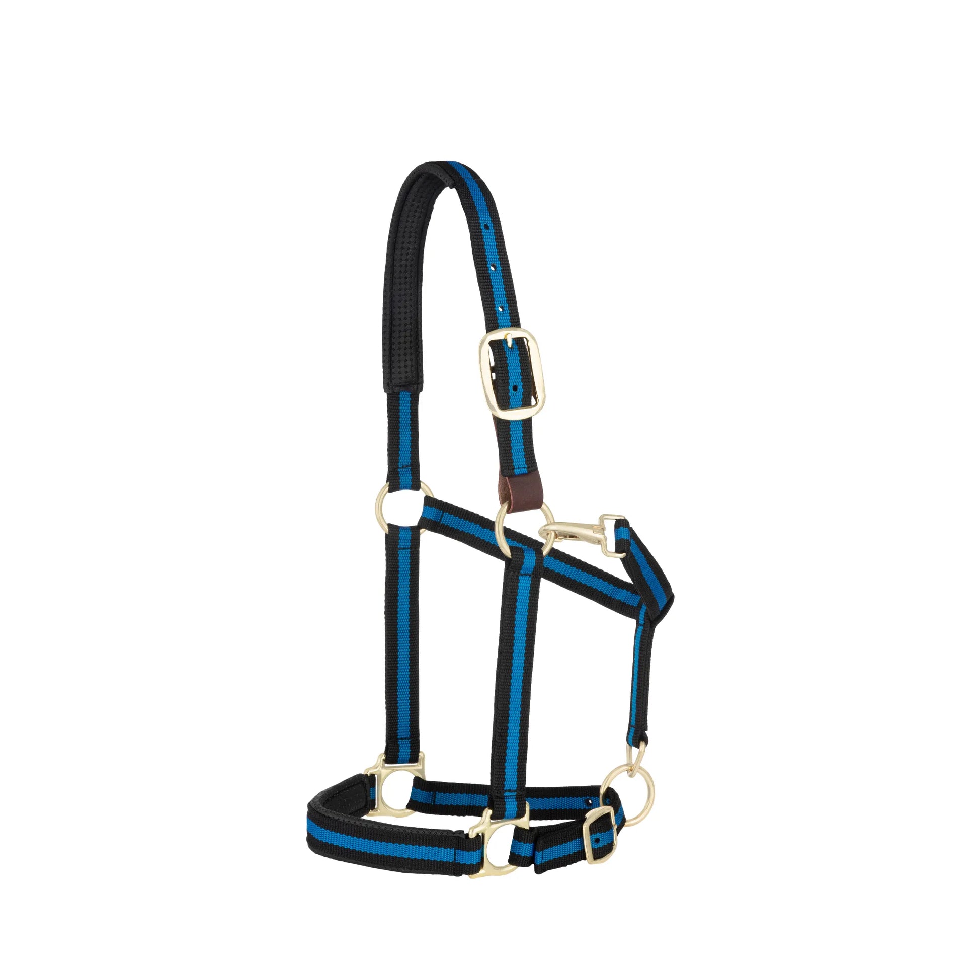 Weaver Equine Breakaway Horse Halter featuring stylish black and electric blue striped nylon webbing. Designed for safety and comfort, it includes a leather breakaway fuse, padded nose and crown, and premium brass hardware. This durable halter offers a custom fit with an adjustable chin strap and crown, plus a convenient throatlatch snap, making it a reliable and attractive choice for everyday use and pasture safety.