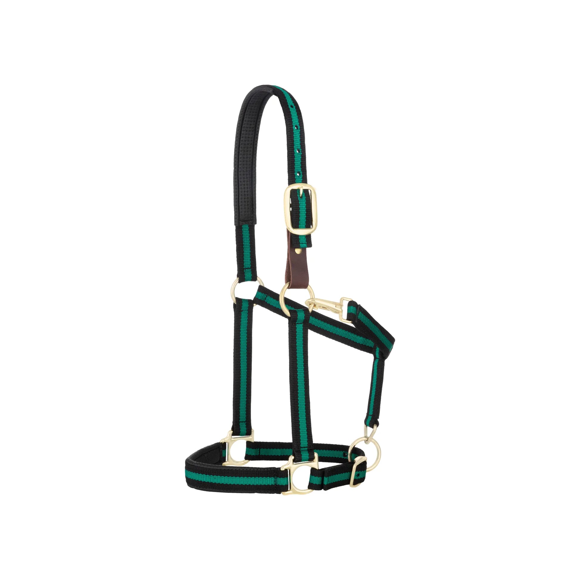 Weaver Equine Breakaway Halter in black and hunter green stripes. This safety-focused horse halter features a leather breakaway fuse, adjustable brass-plated hardware, and padded nose and poll straps for superior comfort. A durable, high-quality piece of equestrian tack designed for both style and horse safety during turnout or everyday handling. Perfect for horse owners seeking a reliable, adjustable, and comfortable nylon halter.