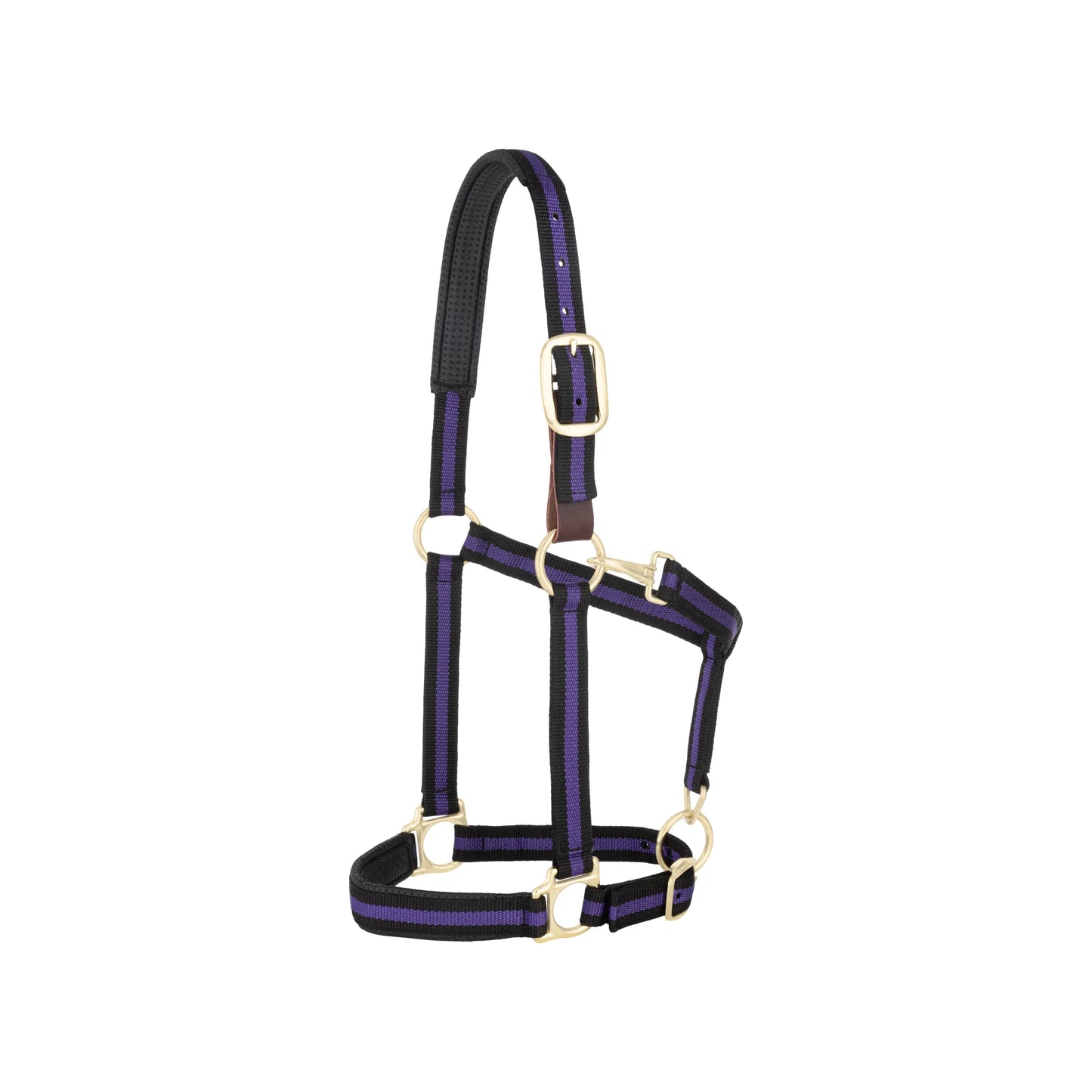 Weaver Equine Breakaway Halter in a striking purple and black striped nylon. Designed for horse safety with a replaceable leather breakaway fuse and comfort-focused padded crown. Features durable brass-plated hardware, an adjustable chin and crown for a perfect fit, and a convenient snap throat latch. Ideal for turnout and daily grooming, this stylish horse halter combines safety and durability for any equestrian.