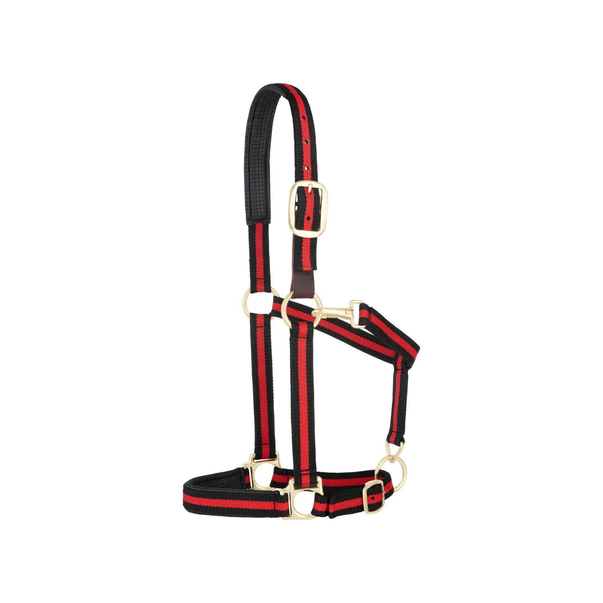 Black and red striped Weaver Equine Breakaway Halter featuring a padded crown and noseband for horse comfort. Designed with durable gold-colored brass hardware, an adjustable chin strap, and a safety leather breakaway fuse. This stylish equestrian horse halter provides a secure, adjustable fit for safety in the stable or field.