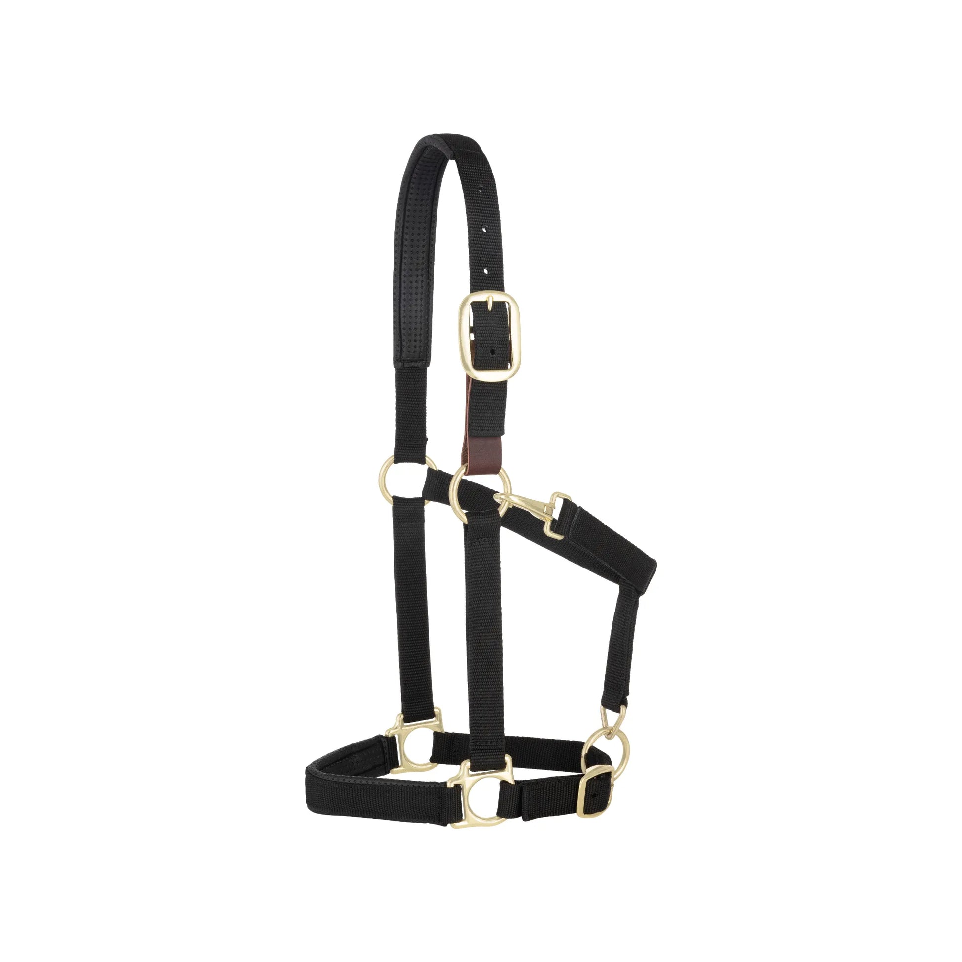 Weaver Equine black nylon breakaway halter for horses featuring durable brass hardware and a brown leather safety crownpiece. This adjustable horse halter offers a custom, comfortable fit with padding and multiple adjustment points on the crown and noseband. Reliable equestrian gear designed for safety during turnout and everyday barn use, combining professional style with essential breakaway protection.