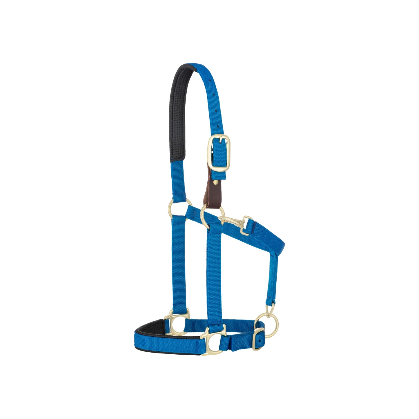 Royal blue Weaver Equine Breakaway Halter featuring a brown leather safety strap and durable brass hardware. Designed for comfort with plush black padding on the poll and noseband. This adjustable nylon horse halter ensures a secure, custom fit and is engineered for safety in the pasture or stable. High-quality equine tack ideal for everyday use and horse safety.