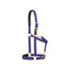 Weaver Equine Breakaway Halter in vibrant purple. This durable double-ply nylon horse halter features a replaceable leather breakaway strap for added safety, plush black padding on the crown and noseband for comfort, and premium brass hardware. With a fully adjustable design, this purple halter is perfect for turnout or daily use, offering a blend of safety, comfort, and style for your horse.