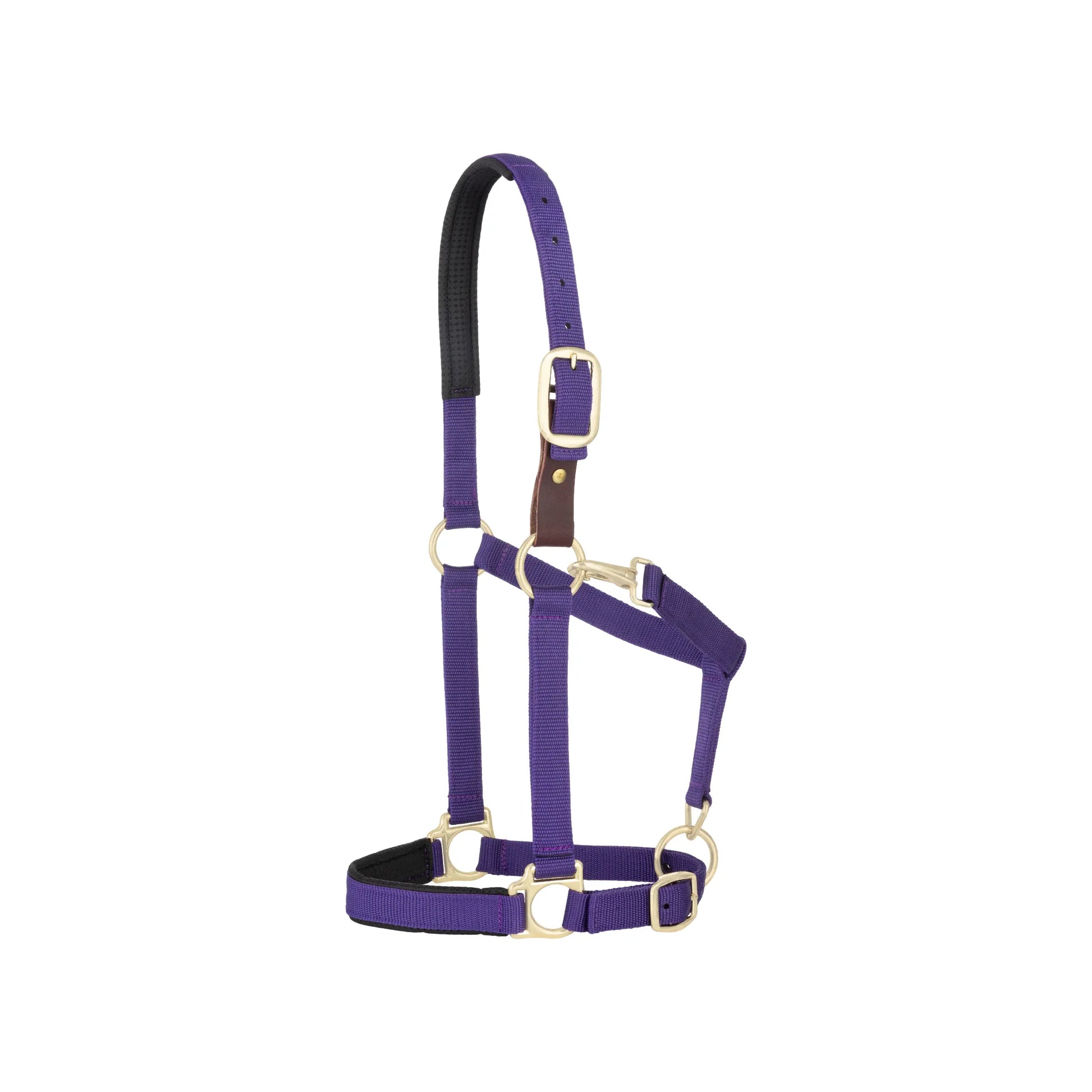 Weaver Equine Breakaway Halter in vibrant purple. This durable double-ply nylon horse halter features a replaceable leather breakaway strap for added safety, plush black padding on the crown and noseband for comfort, and premium brass hardware. With a fully adjustable design, this purple halter is perfect for turnout or daily use, offering a blend of safety, comfort, and style for your horse.