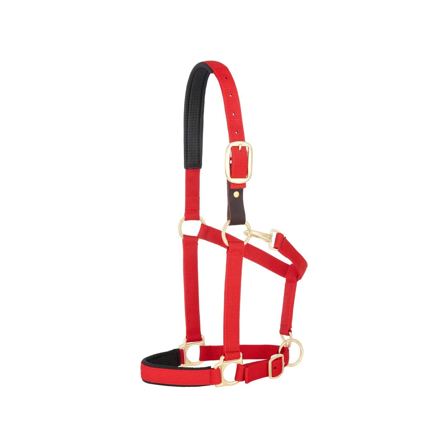 Red Weaver Equine Breakaway Halter featuring durable nylon webbing with plush black padding on the crown and noseband for maximum comfort. This adjustable horse halter includes gold-tone brass hardware and a dark brown leather breakaway fuse designed for horse safety in stalls or pastures. A vibrant, high-quality equestrian essential perfect for daily use, training, or travel.