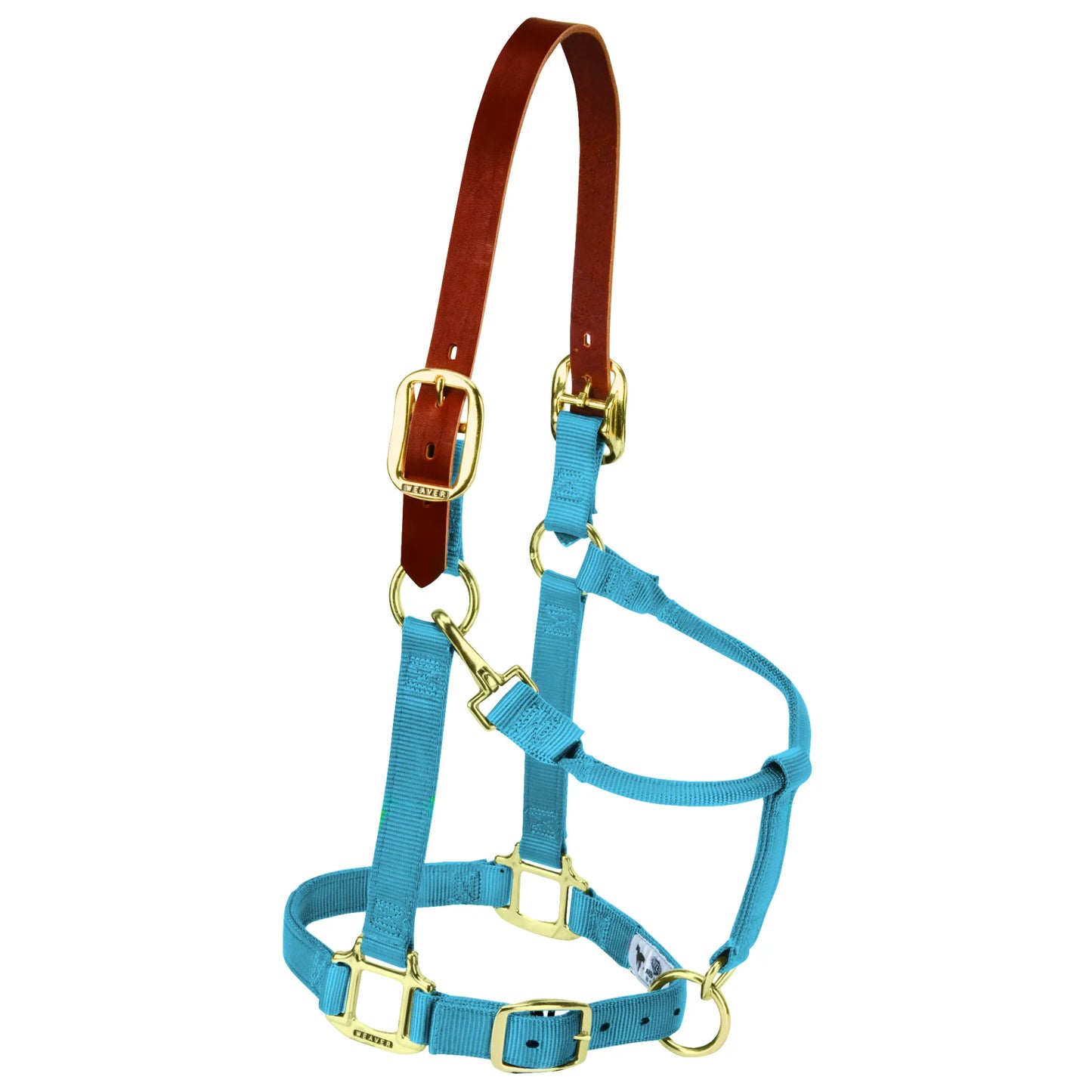 Weaver Equine Turquoise Breakaway Horse Halter featuring 1-inch nylon webbing and a brown leather safety crownpiece. This adjustable halter includes premium brass hardware, a convenient throat snap, and an adjustable chin strap. Durable and stylish, it’s designed for horse safety during turnout and grooming. A must-have piece of horse tack for any equestrian looking for quality and reliable breakaway protection.