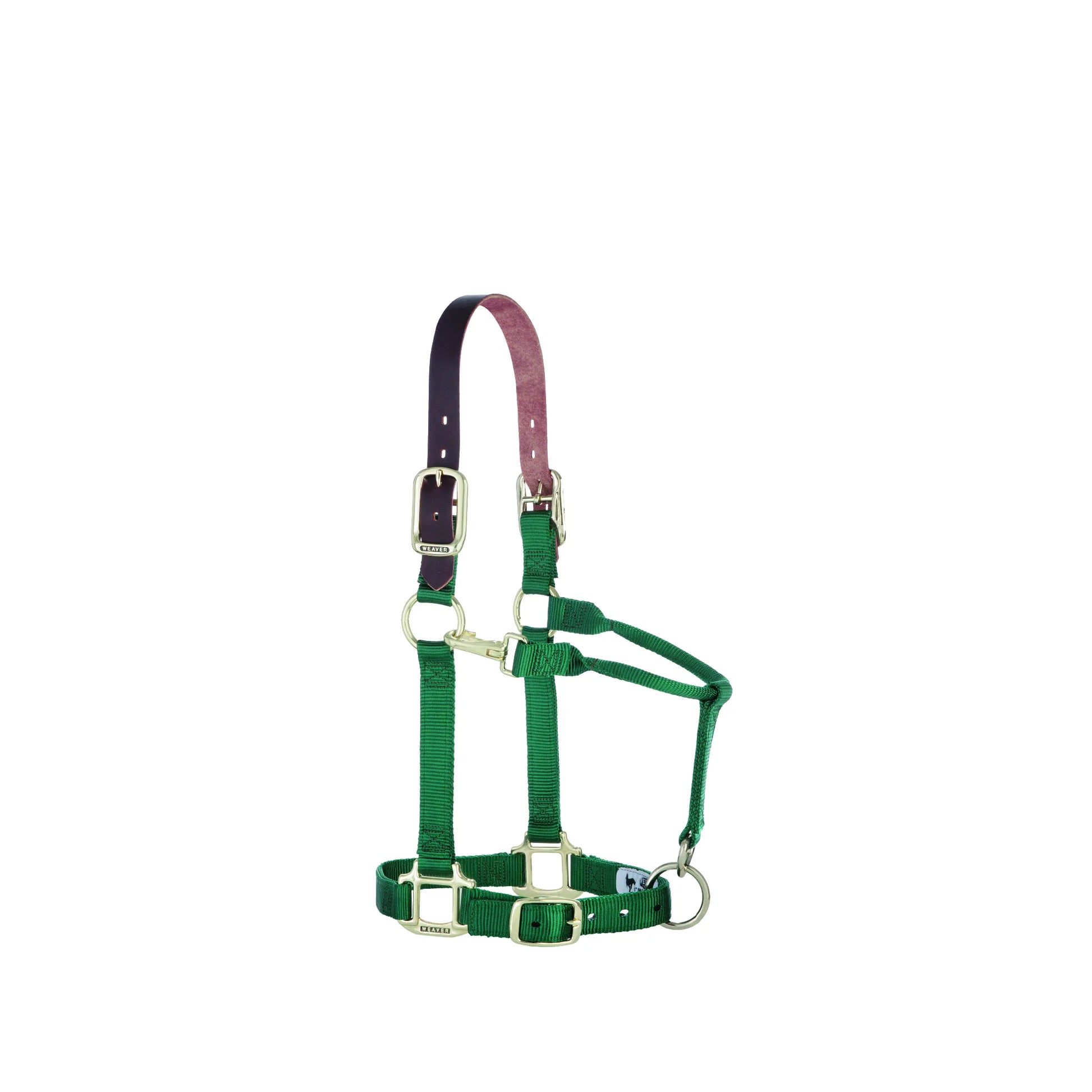 Weaver Equine 1" Breakaway Horse Halter in hunter green nylon with a safety leather crownpiece. This adjustable horse halter features a convenient throat snap, brass hardware, and a customizable chin strap for a perfect fit. Designed for safety during turnout, the breakaway crown ensures your horse can pull free if caught. Durable and stylish equestrian gear for horse owners.