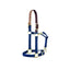 Weaver Equine Breakaway Horse Halter in royal blue 1-inch nylon featuring a mahogany leather breakaway crownpiece. This durable halter includes brass-plated hardware, an adjustable chin strap, and a convenient throat snap for a secure, custom fit. A safe and stylish choice for daily turnout or trailering, combining classic design with essential safety features for your horse.