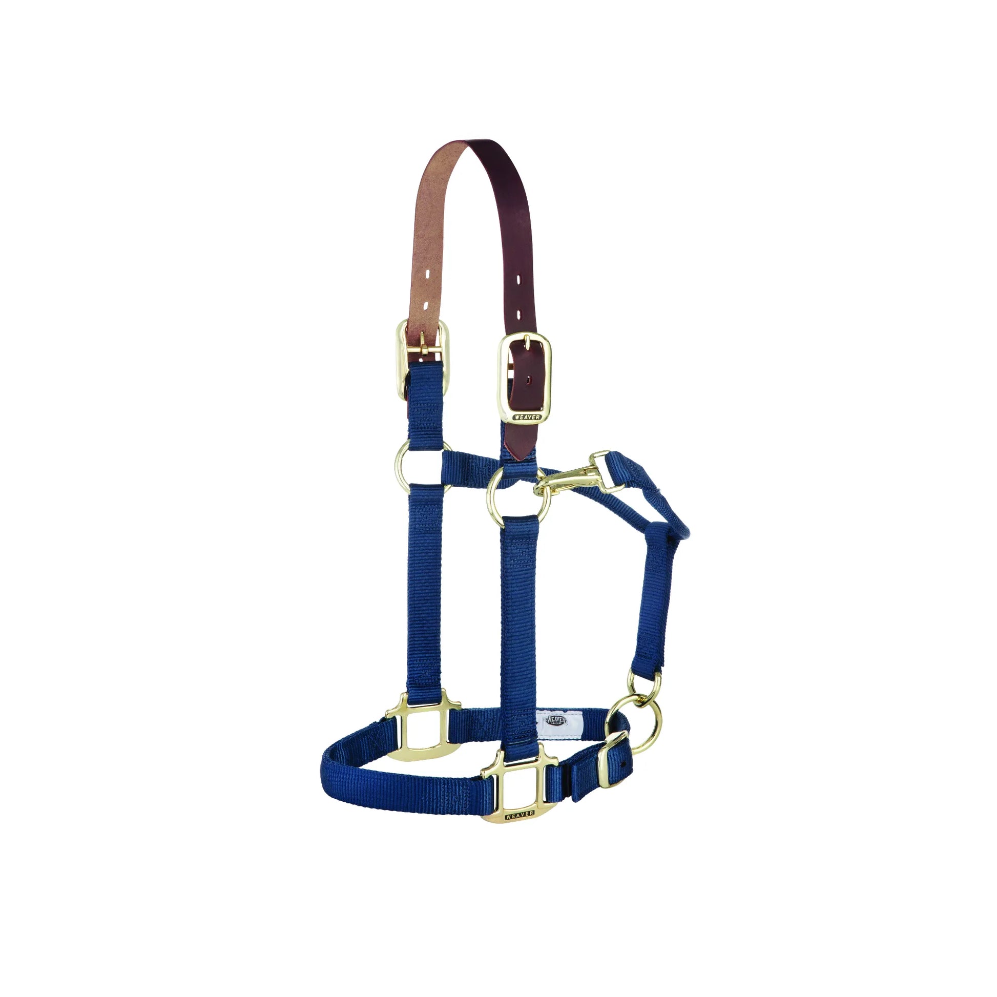 Weaver Equine Breakaway Horse Halter in royal blue 1-inch nylon featuring a mahogany leather breakaway crownpiece. This durable halter includes brass-plated hardware, an adjustable chin strap, and a convenient throat snap for a secure, custom fit. A safe and stylish choice for daily turnout or trailering, combining classic design with essential safety features for your horse.