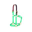 Weaver Equine 1" Breakaway Horse Halter in vibrant mint green nylon with a rich burgundy leather safety crown. This durable halter features gold-toned brass hardware, an adjustable chin strap, and a convenient throat snap. Ideal for horse safety in the field or stable, combining high-visibility style with reliable breakaway functionality. A must-have for every equestrian's tack collection.