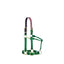 Weaver Equine 1" Breakaway Horse Halter in hunter green nylon with a burgundy leather safety crownpiece. This durable halter features brass hardware, an adjustable chin strap, and a throat snap for a secure, comfortable fit. Designed for safety during turnout, the replaceable leather crownpiece breaks away under pressure. A stylish and functional choice for everyday horse care and equestrian equipment collections.
