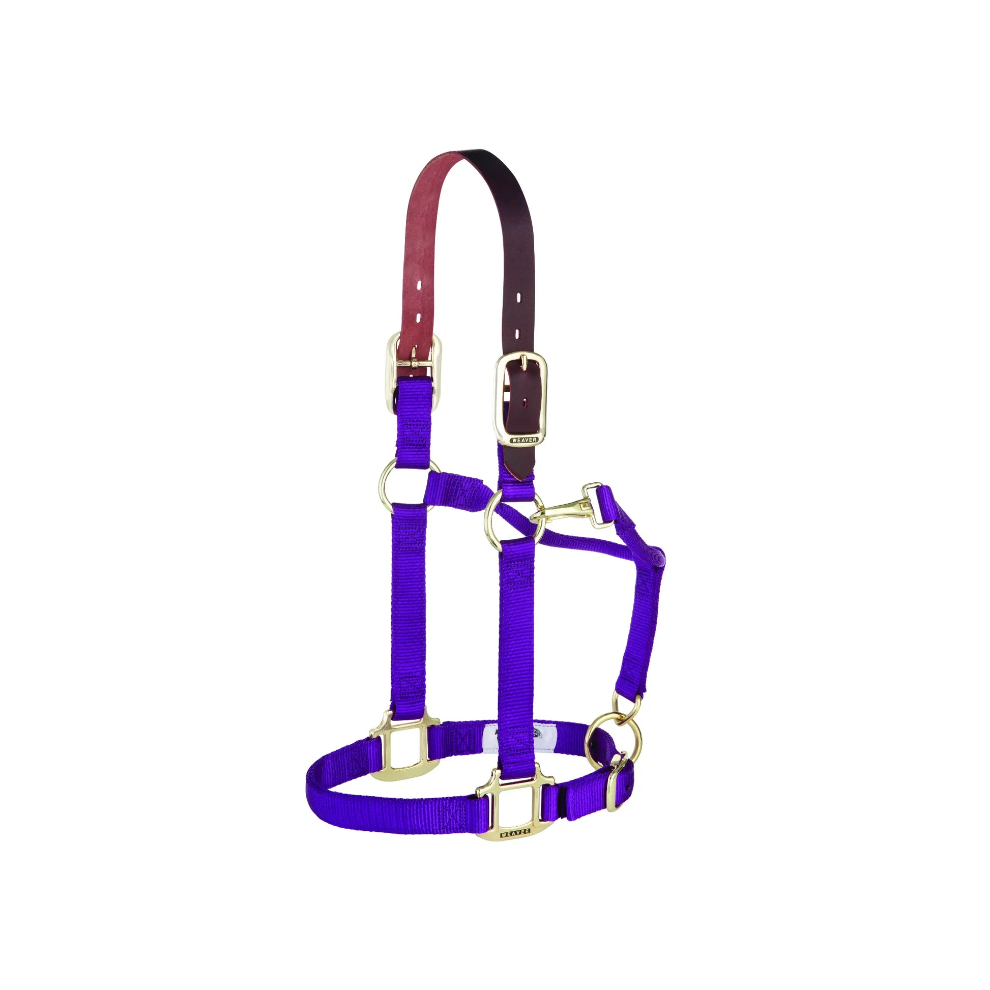 Weaver Equine 1" Purple Nylon Breakaway Horse Halter featuring an adjustable chin strap and convenient throat snap. Crafted with durable triple-ply nylon and premium brass-plated hardware for a professional look. The leather breakaway crownpiece provides essential safety during turnout by snapping under pressure. This vibrant purple halter combines style and functionality, making it a must-have piece of horse tack for daily stable use and equestrian safety.
