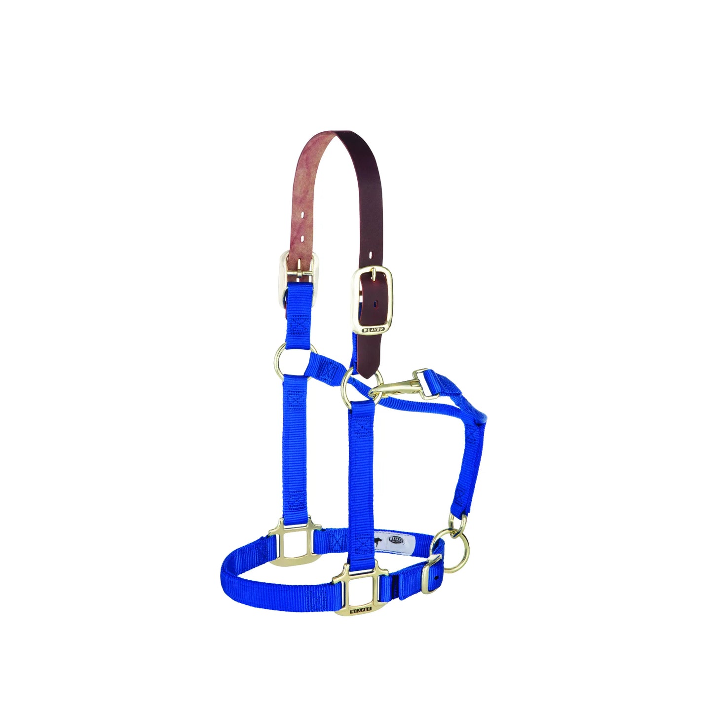 Weaver Equine Breakaway Horse Halter in royal blue 1-inch nylon. This high-quality safety halter features a brown leather breakaway crownpiece, gleaming brass hardware, and an adjustable chin strap. Complete with a quick-release throat snap, it’s a must-have piece of horse tack for daily use and turnout safety. Durable, functional, and stylish equine equipment.