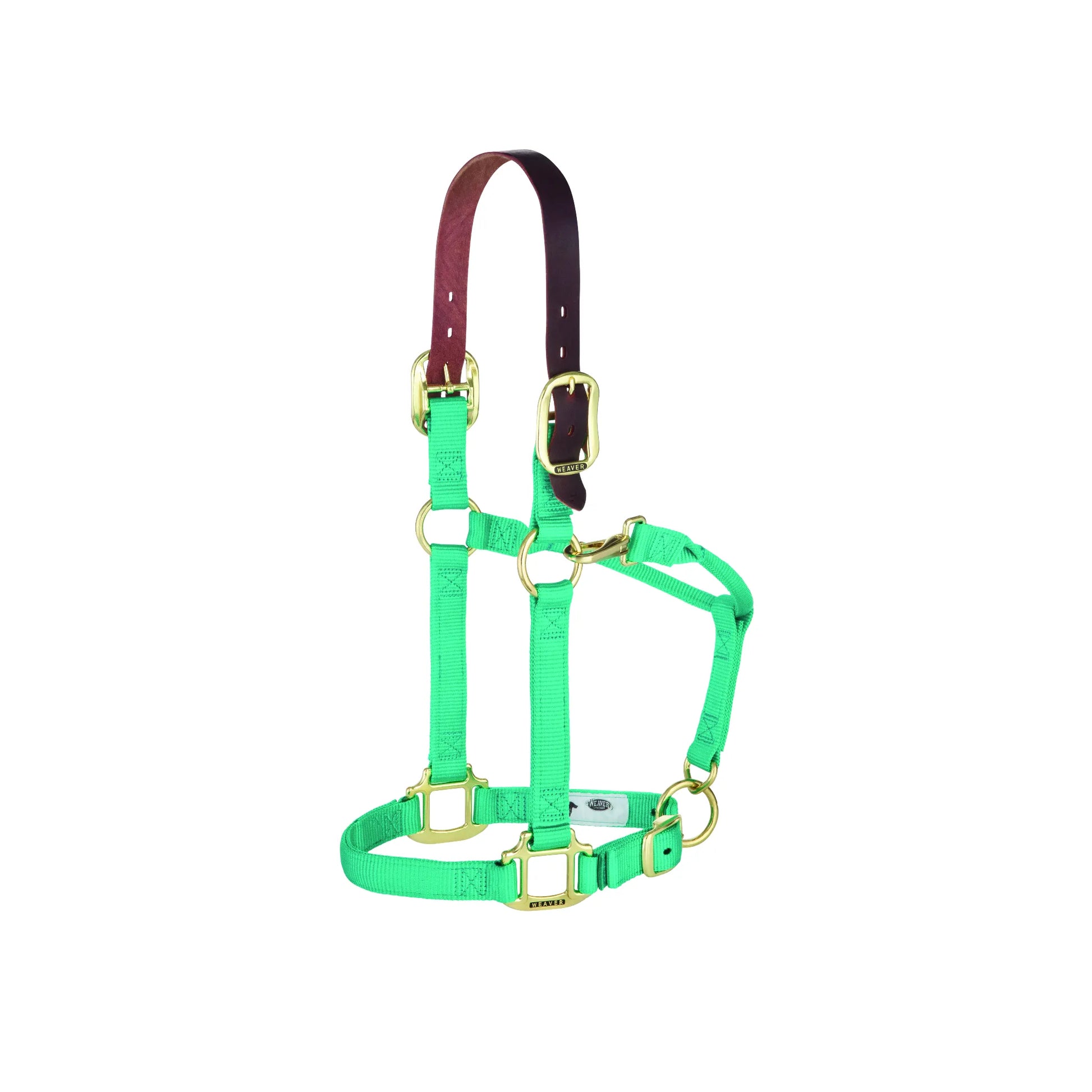 Weaver Equine 1" Breakaway Horse Halter in vibrant lime green nylon with a brown leather breakaway crownpiece for safety. This high-quality equestrian tack features durable solid brass hardware, an adjustable chin strap, and a convenient throat snap. A stylish and functional safety halter ideal for turnout and everyday horse care.